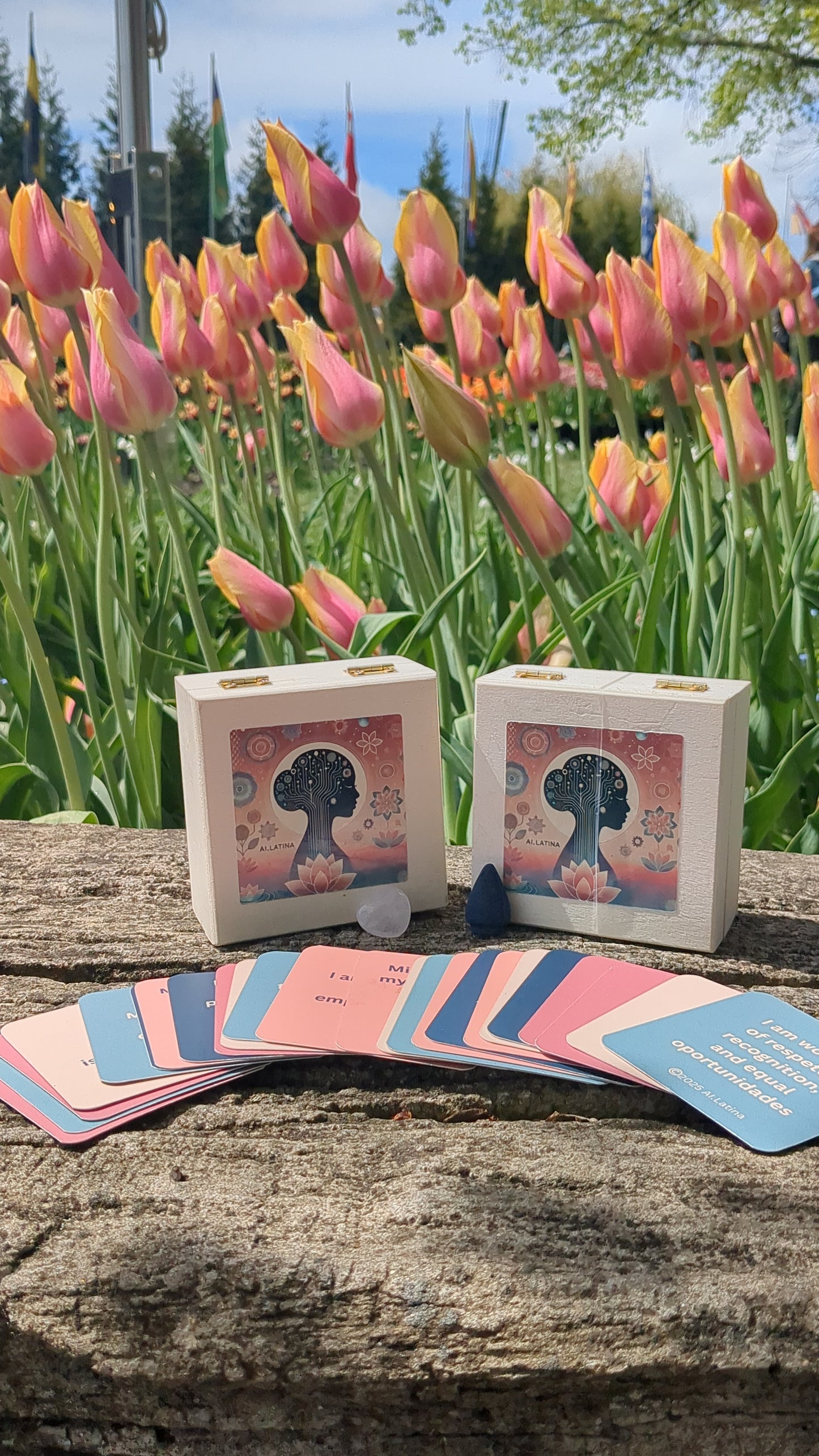 Latina Empowerment (OG) Spanglish Affirmation Deck ππ